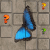 Juego de memoria de mariposas