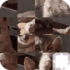 Rompecabezas de gato